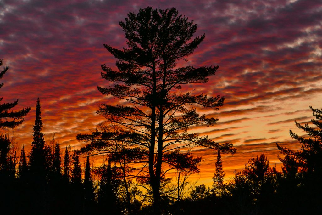 Big Pine Sunset