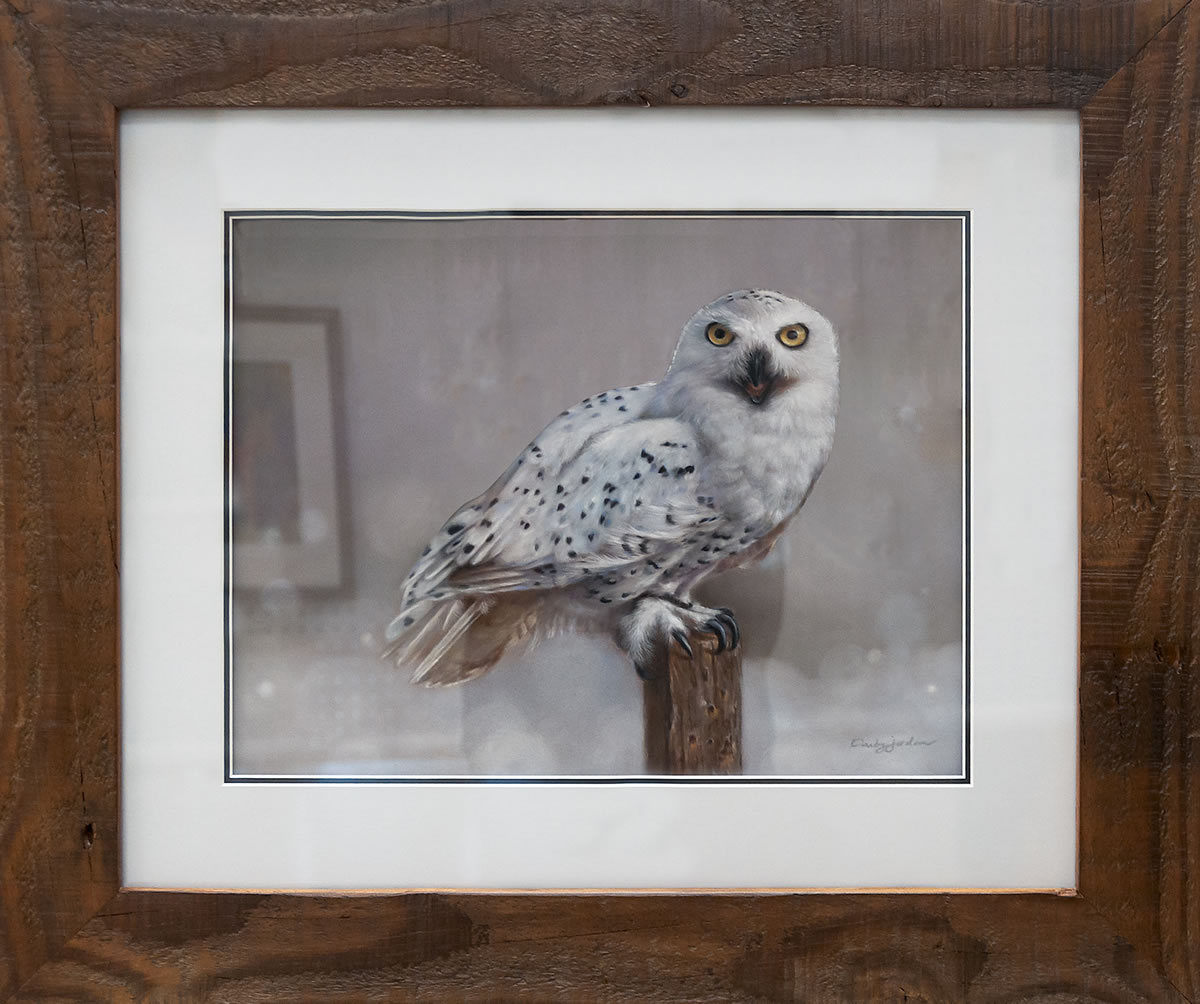 Darby Jordan : “Snowy Owl” - Pastel